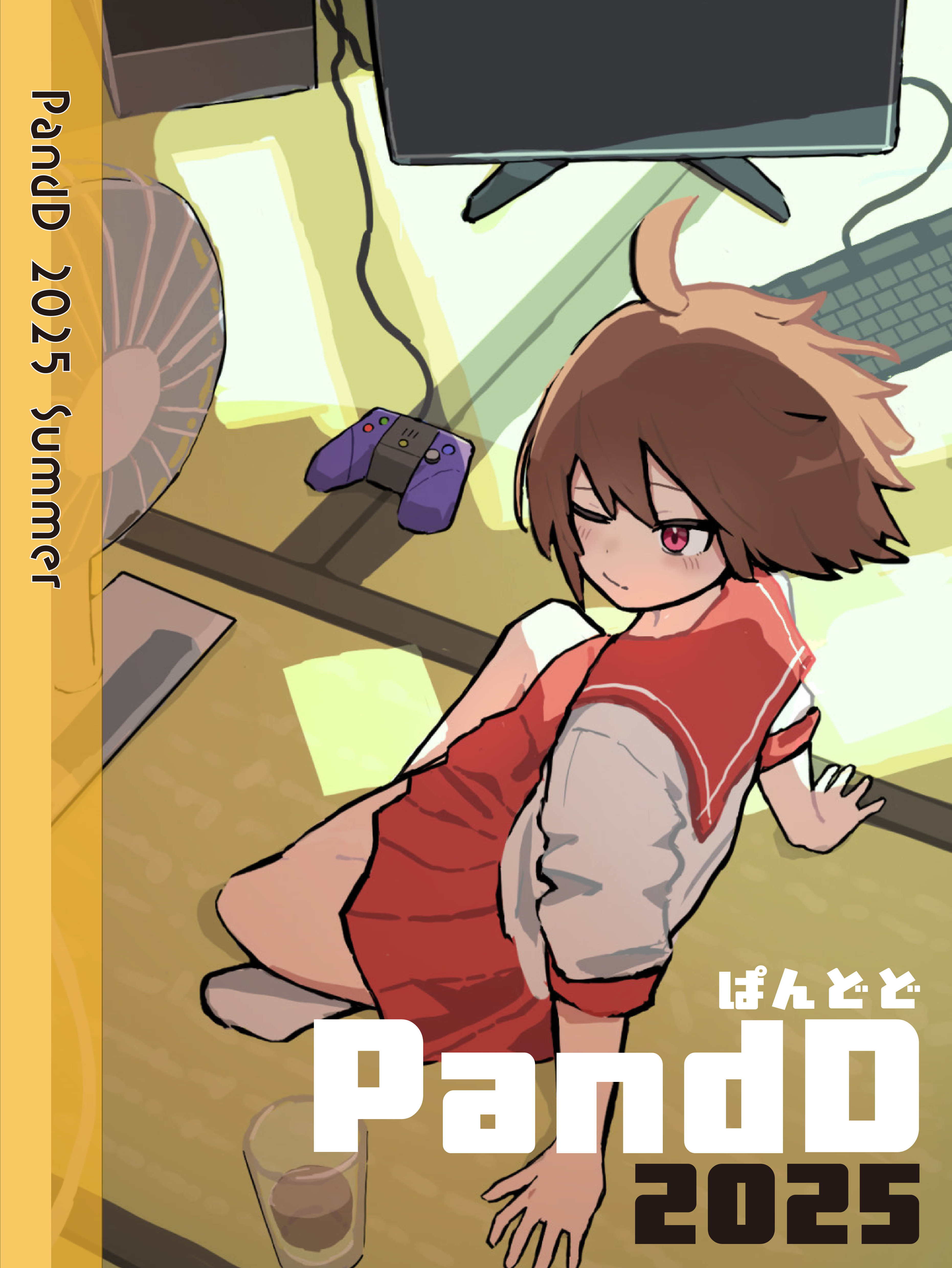 PandD 2025 Summer